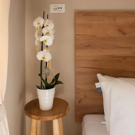 아파트 Penelope & Odysseus Luxury Suites, Historic Nearchou, Neoclassical Charm In Chania 하니아